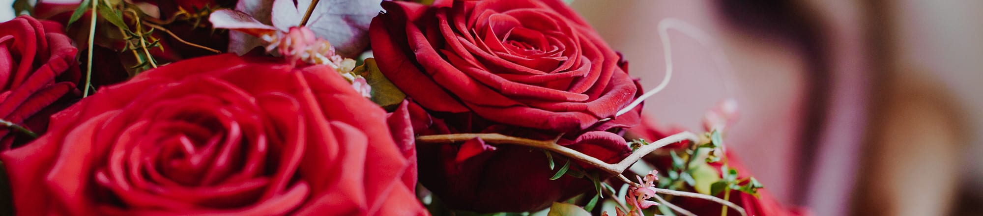 12 June: World Red Rose Day