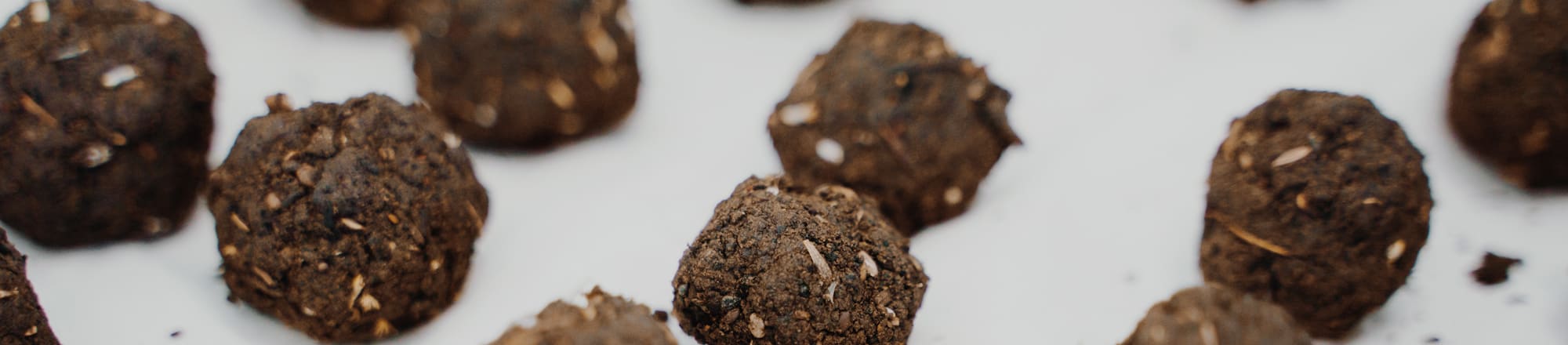 Promising - seed balls for love to flourish