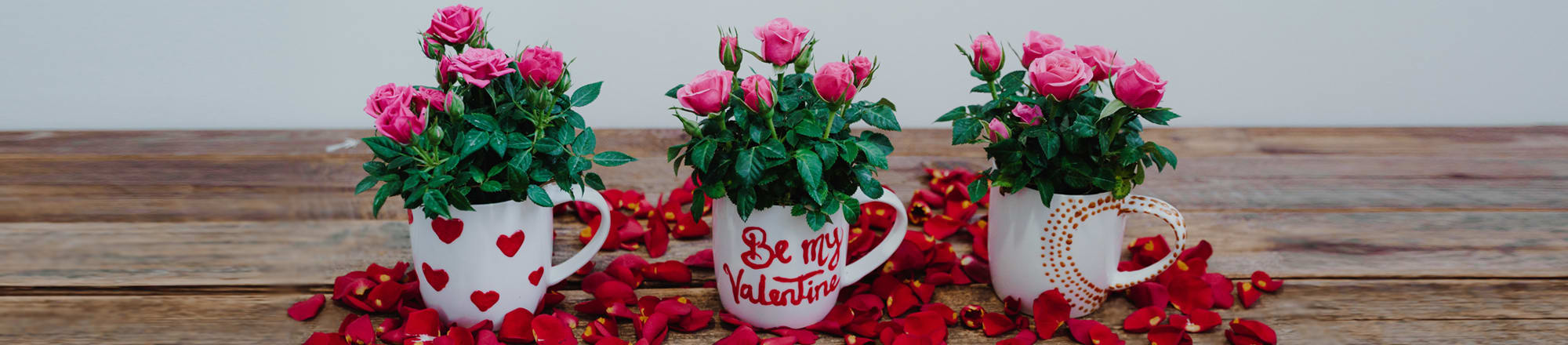Liebevoll – Coffee oder tea time mit Rosen