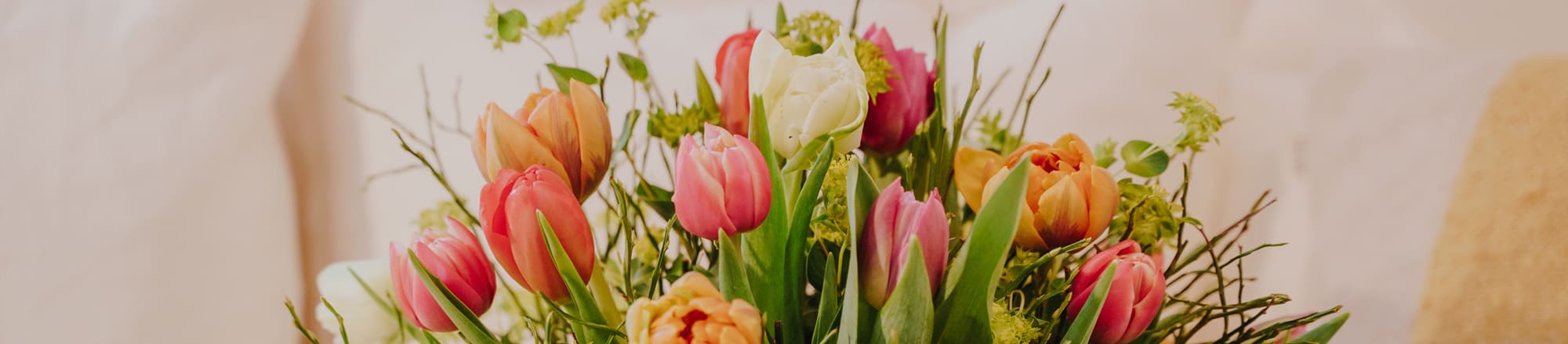 Tulips – colorful and spring–like