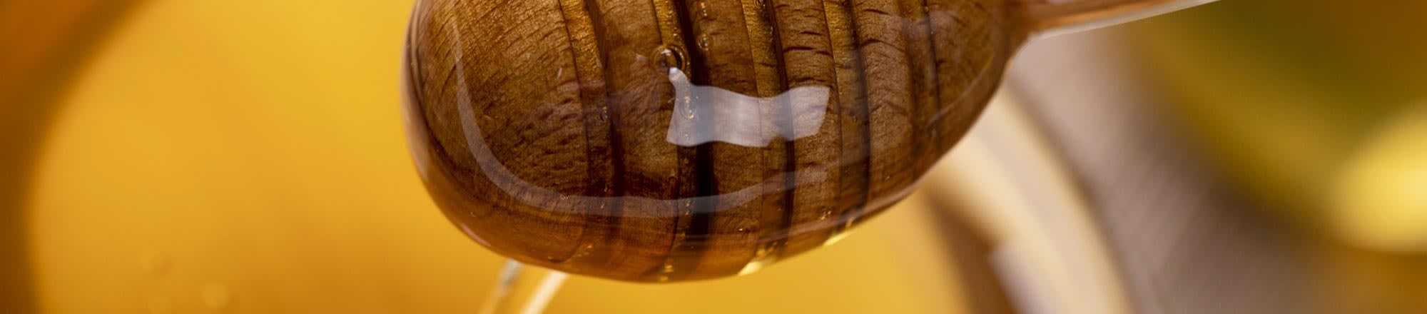 Indonésie: abeilles les plus grosses, récolte dangereuse, miel liquide