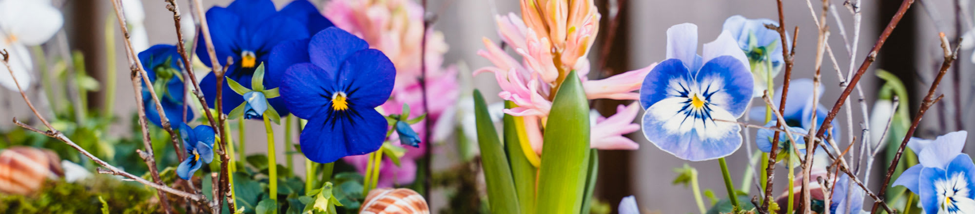 Decorating tips spring - colorful, cheerful, and cool 